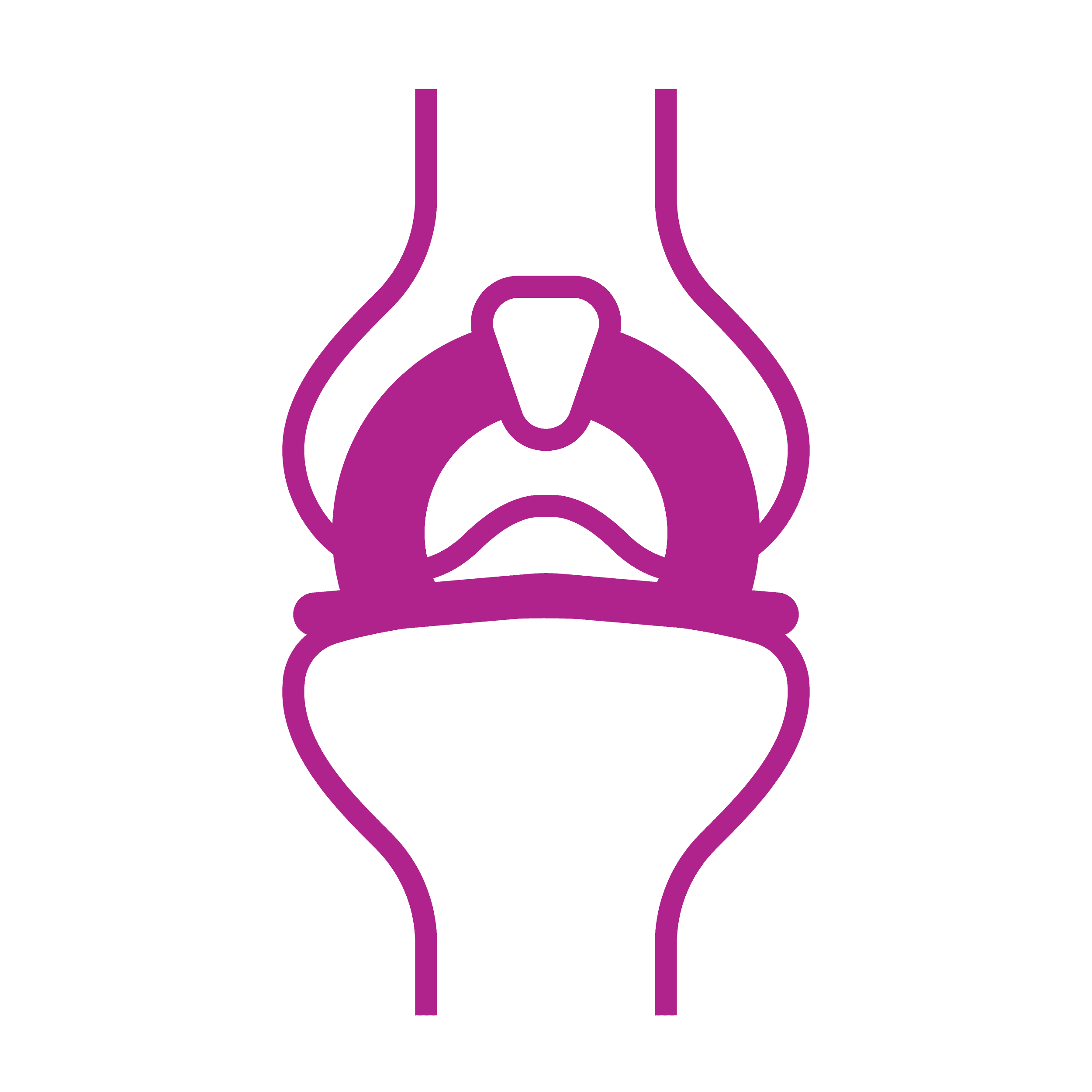 Meniscus scaffold regeneration illustration